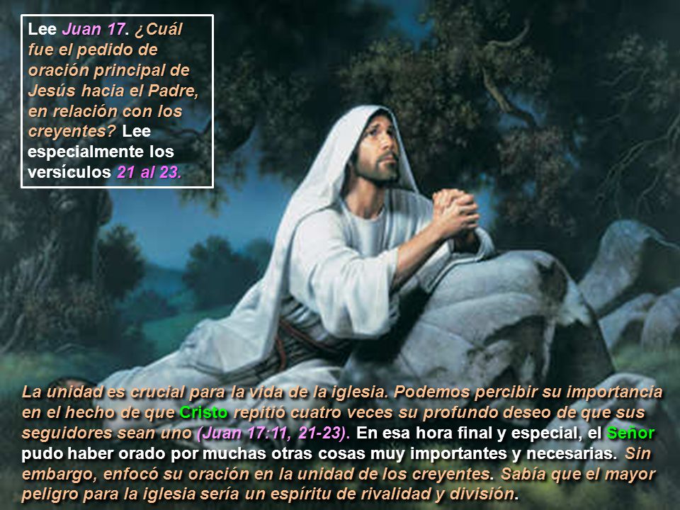 Lee Juan 17. ¿Cuál fue el pedido de oración principal de Jesús hacia el Padre, en relación con los creyentes Lee especialmente los versículos 21 al 23.