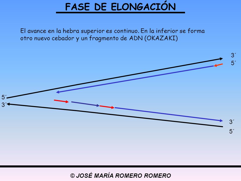 © JOSÉ MARÍA ROMERO ROMERO