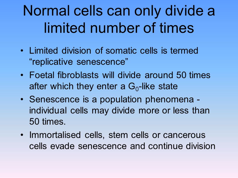 Normal cells can only divide a limited number of times