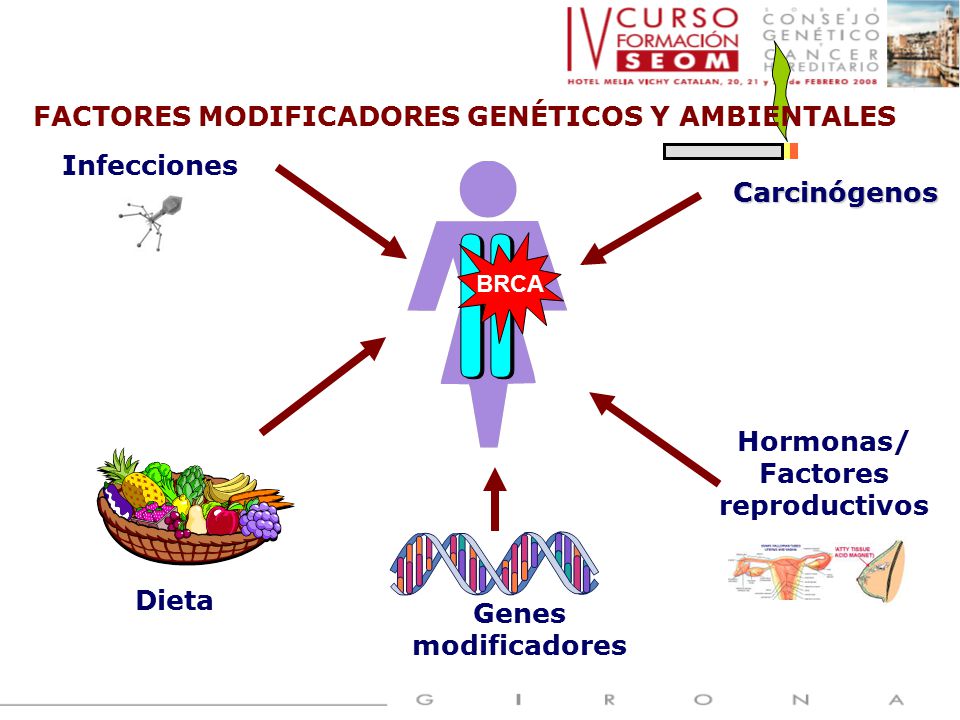 FACTORES MODIFICADORES GENÉTICOS Y AMBIENTALES Factores reproductivos