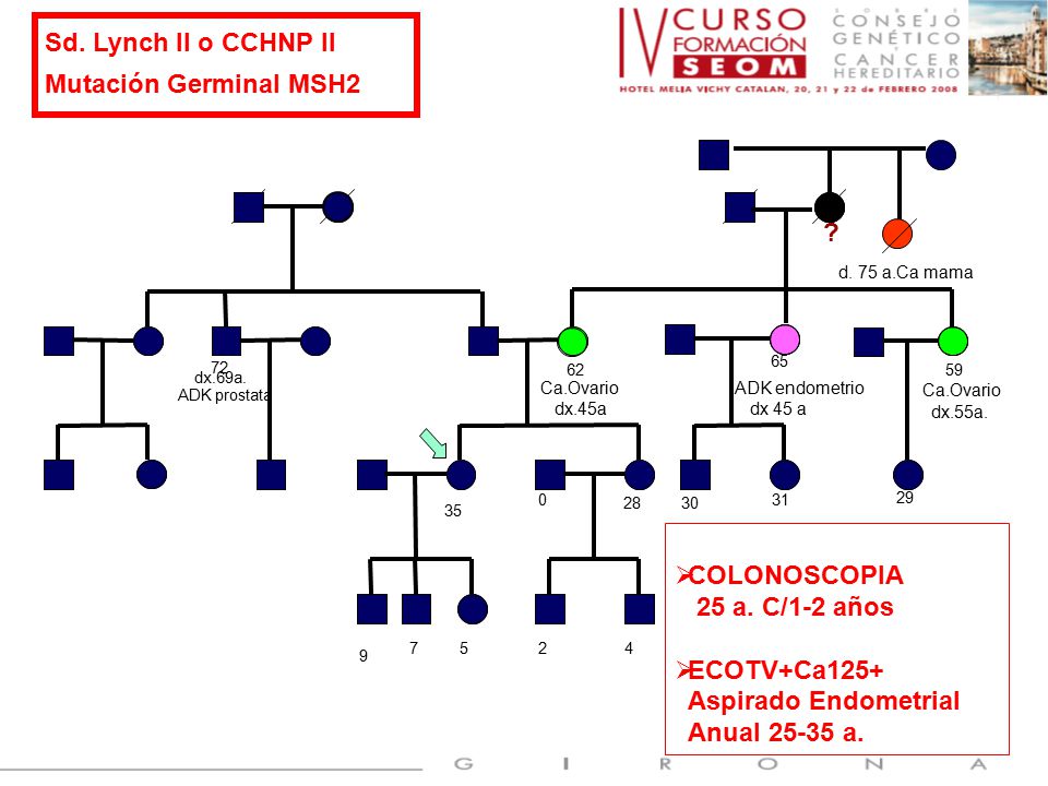 Sd. Lynch II o CCHNP II Mutación Germinal MSH2 COLONOSCOPIA