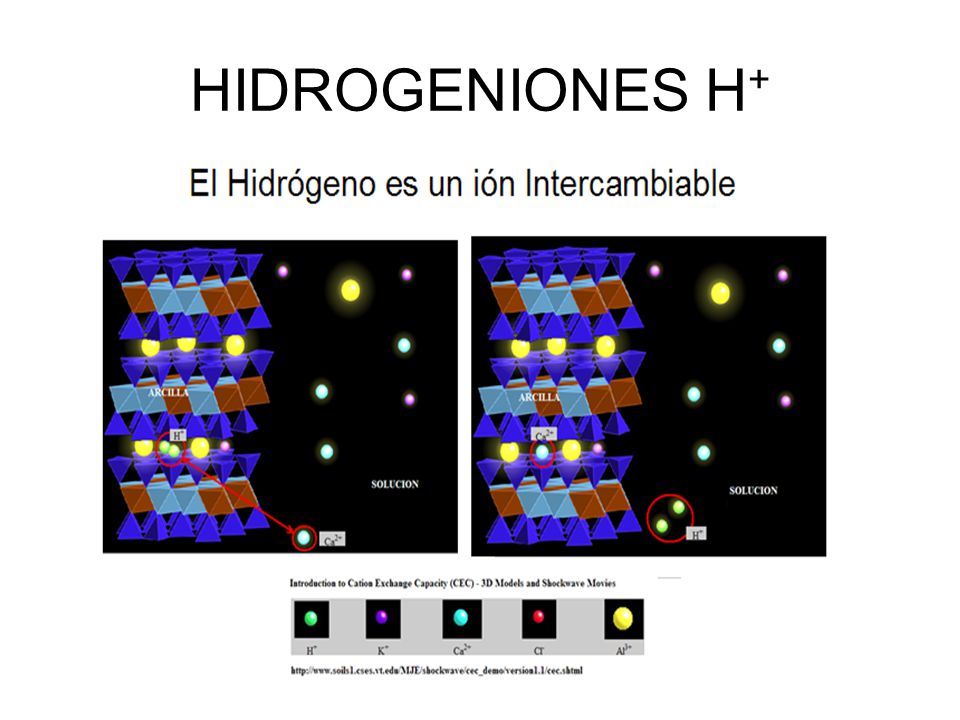 HIDROGENIONES H+