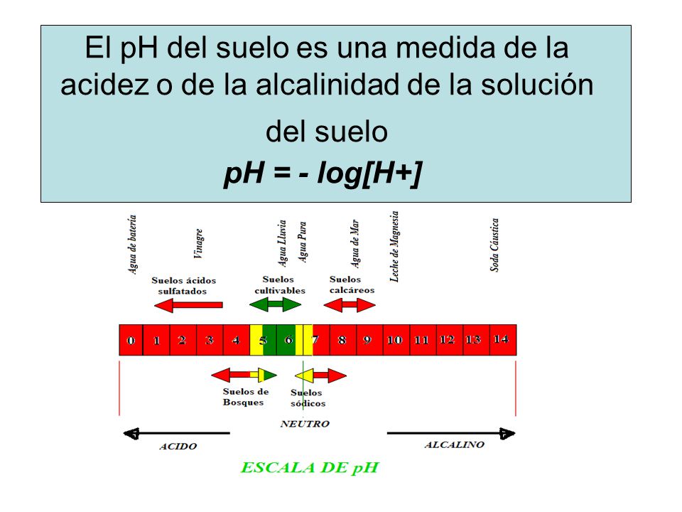 El pH del suelo es una medida de la acidez o de la alcalinidad de la solución del suelo