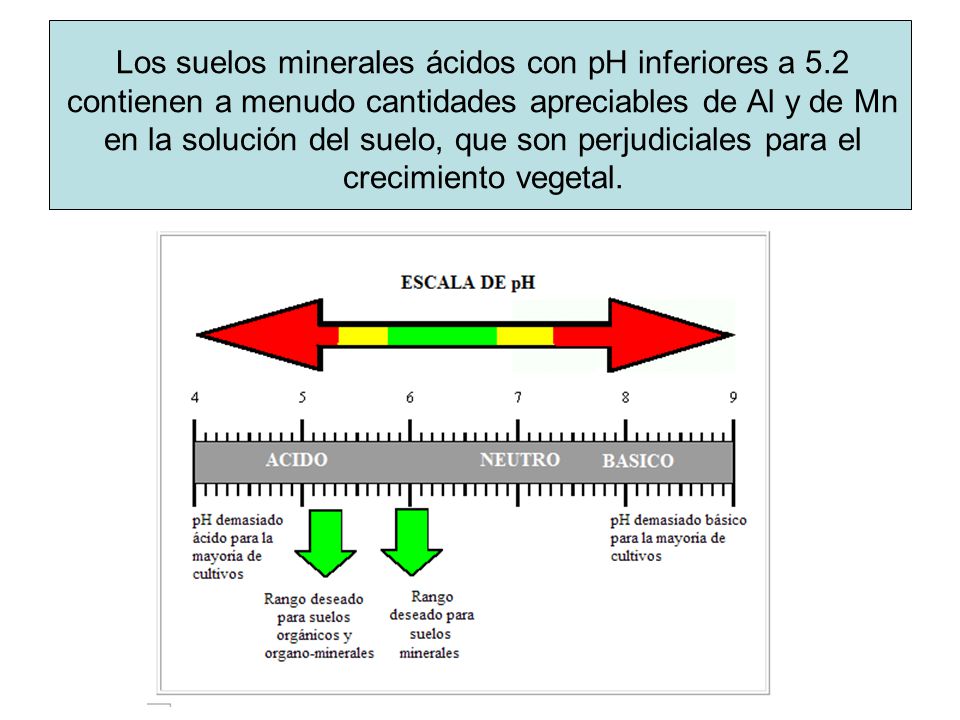 Los suelos minerales ácidos con pH inferiores a 5
