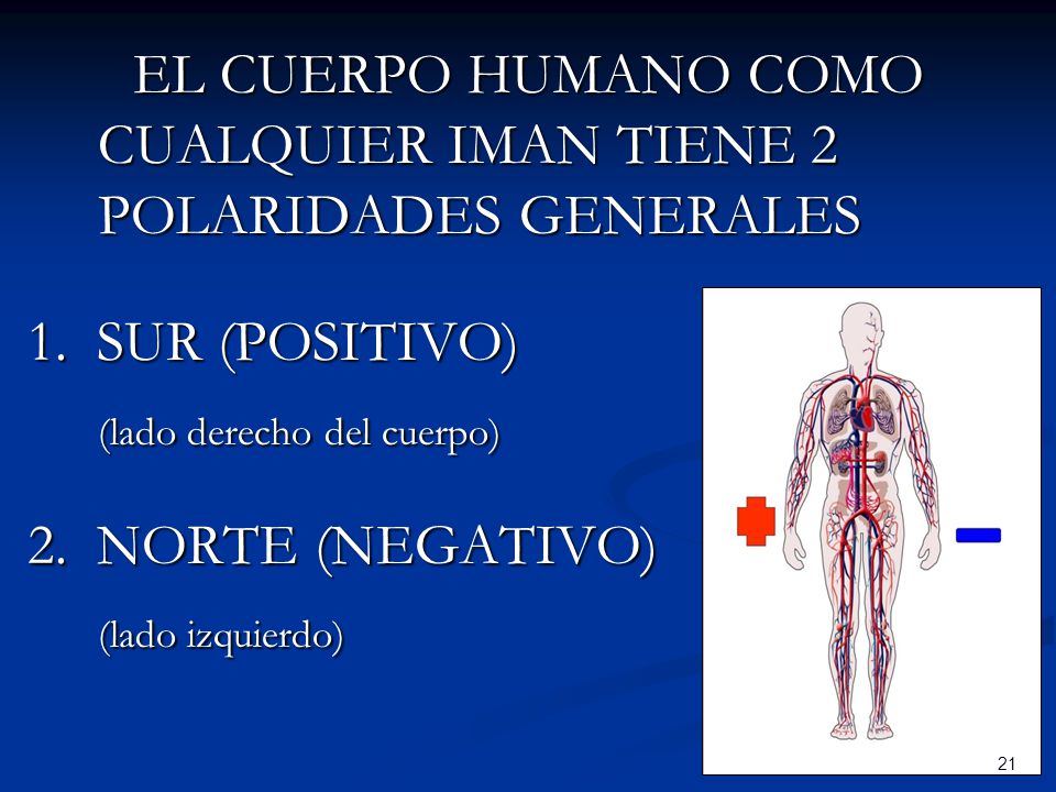 EL CUERPO HUMANO COMO CUALQUIER IMAN TIENE 2 POLARIDADES GENERALES 1