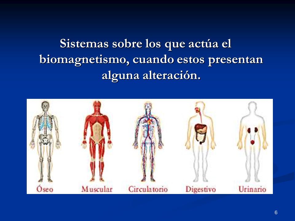 Sistemas sobre los que actúa el biomagnetismo, cuando estos presentan alguna alteración.