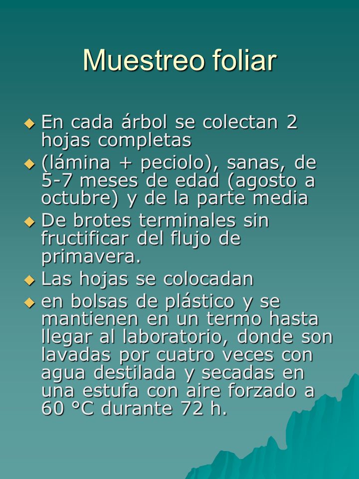 Muestreo foliar En cada árbol se colectan 2 hojas completas