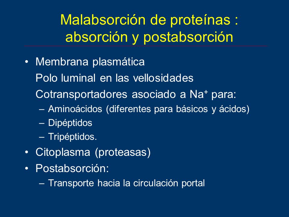 Malabsorción de proteínas : absorción y postabsorción