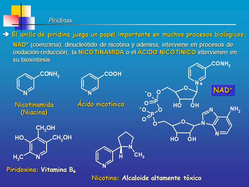 Piridinas  El anillo de piridina juega un papel importante en muchos procesos biológicos: