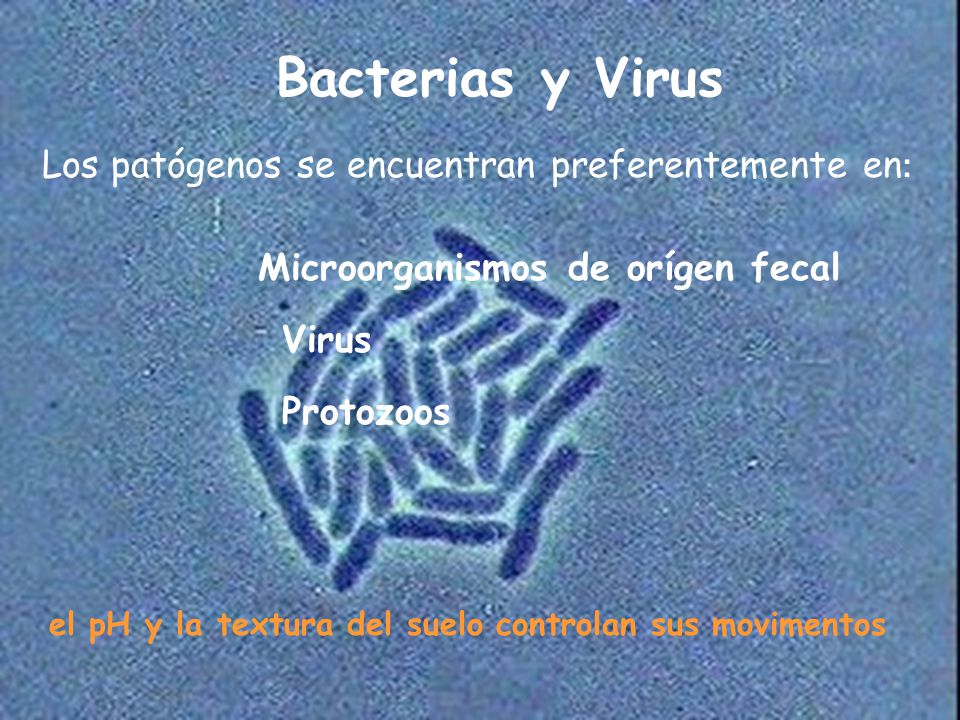 el pH y la textura del suelo controlan sus movimentos