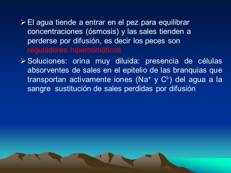 El agua tiende a entrar en el pez para equilibrar concentraciones (ósmosis) y las sales tienden a perderse por difusión, es decir los peces son reguladores hiperosmóticos