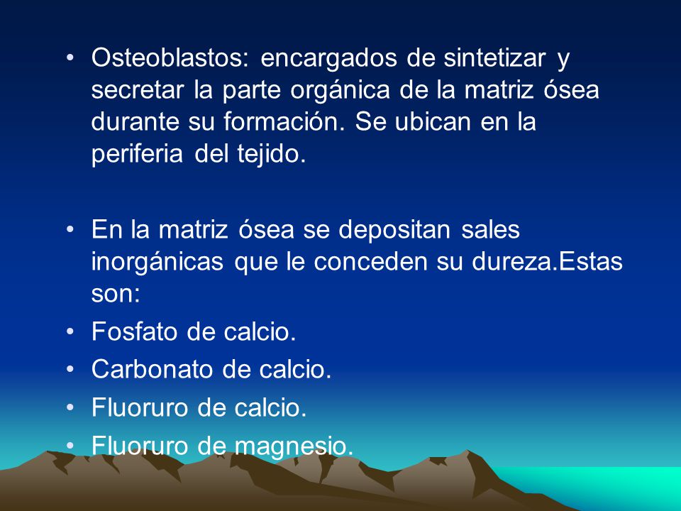 Osteoblastos: encargados de sintetizar y secretar la parte orgánica de la matriz ósea durante su formación. Se ubican en la periferia del tejido.