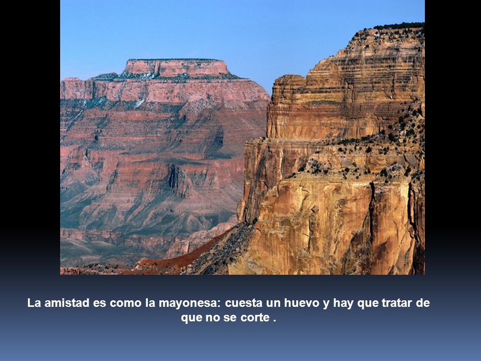 La amistad es como la mayonesa: cuesta un huevo y hay que tratar de que no se corte .