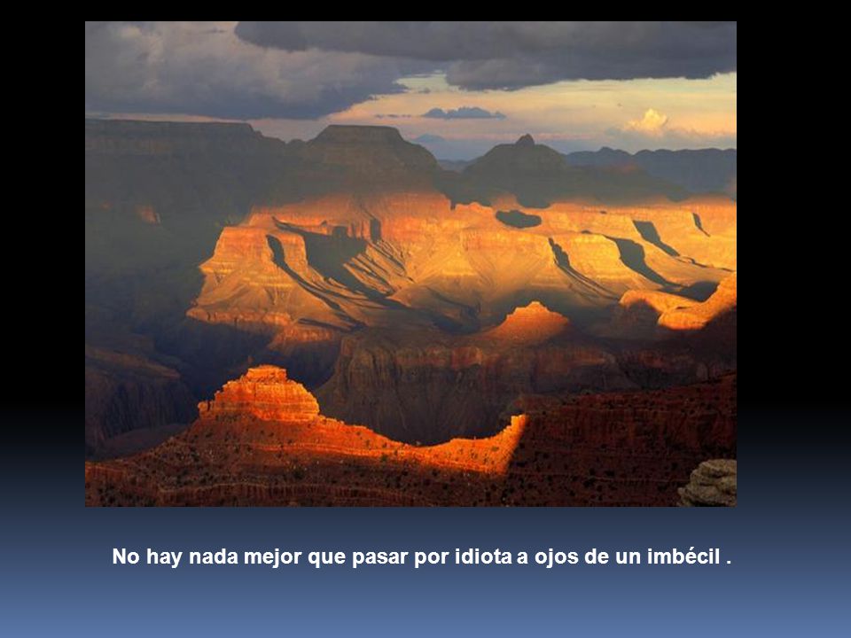 No hay nada mejor que pasar por idiota a ojos de un imbécil .