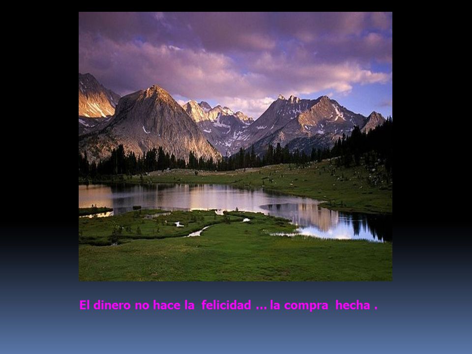 El dinero no hace la felicidad ... la compra hecha .