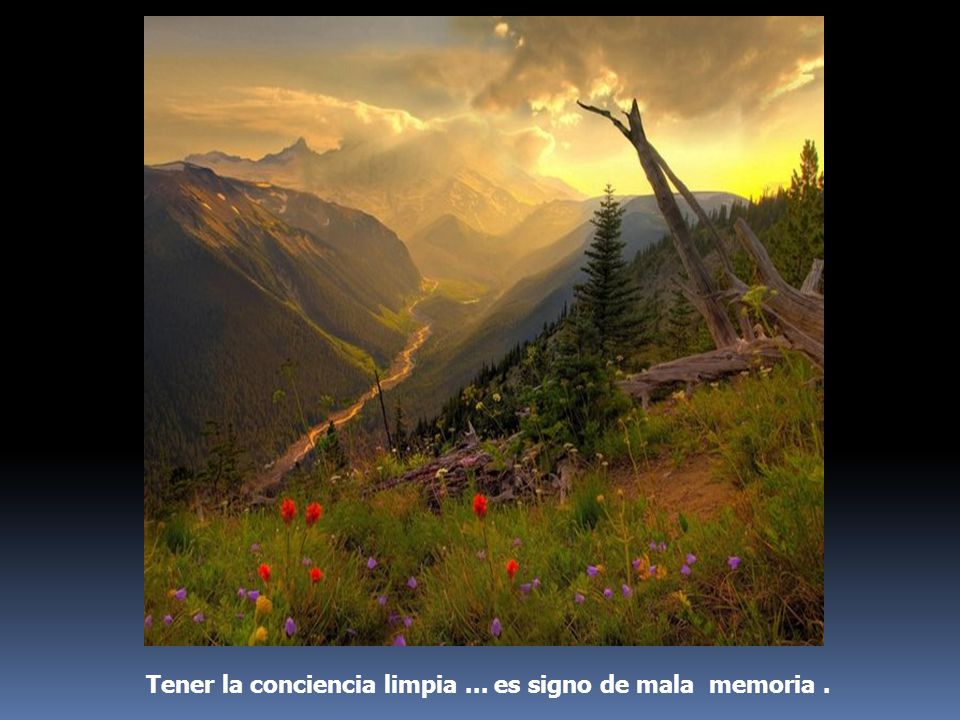 Tener la conciencia limpia ... es signo de mala memoria .
