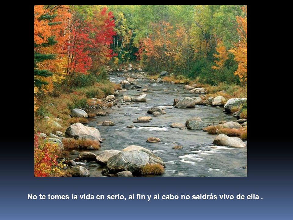 No te tomes la vida en serio, al fin y al cabo no saldrás vivo de ella .