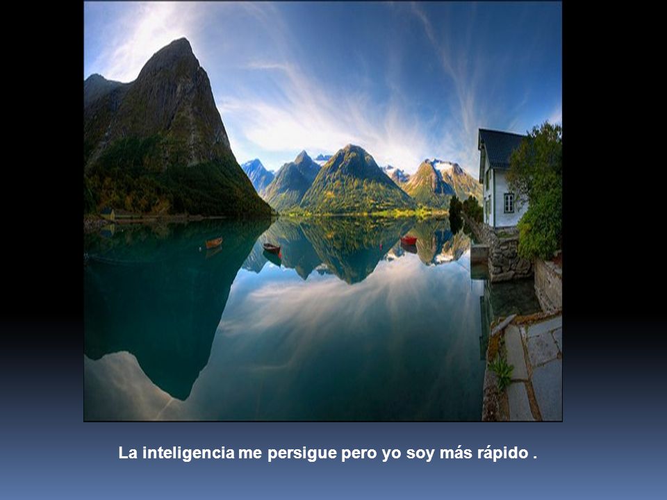 La inteligencia me persigue pero yo soy más rápido .