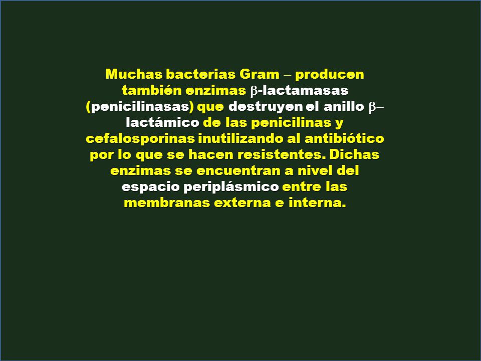 Muchas bacterias Gram - producen también enzimas b-lactamasas (penicilinasas) que destruyen el anillo b-lactámico de las penicilinas y cefalosporinas inutilizando al antibiótico por lo que se hacen resistentes.