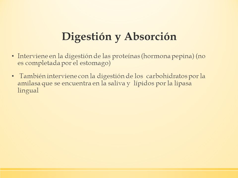 Digestión y Absorción Interviene en la digestión de las proteínas (hormona pepina) (no es completada por el estomago)