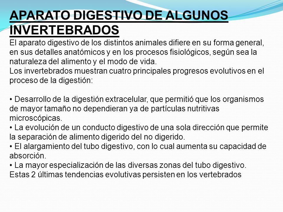 APARATO DIGESTIVO DE ALGUNOS INVERTEBRADOS El aparato digestivo de los distintos animales difiere en su forma general, en sus detalles anatómicos y en los procesos fisiológicos, según sea la naturaleza del alimento y el modo de vida. Los invertebrados muestran cuatro principales progresos evolutivos en el proceso de la digestión: