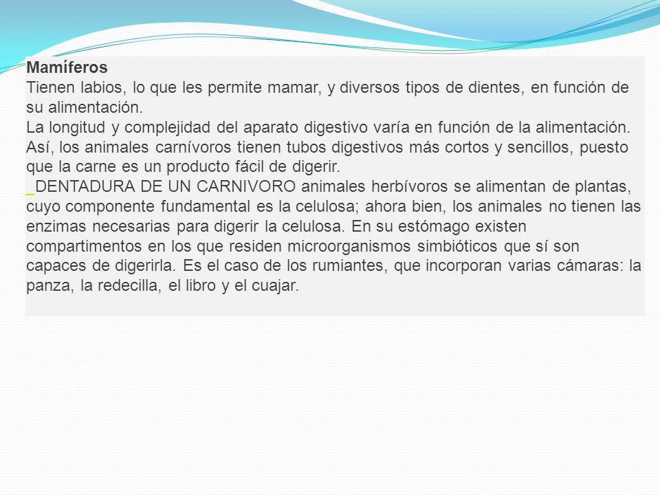 Mamíferos Tienen labios, lo que les permite mamar, y diversos tipos de dientes, en función de su alimentación.
