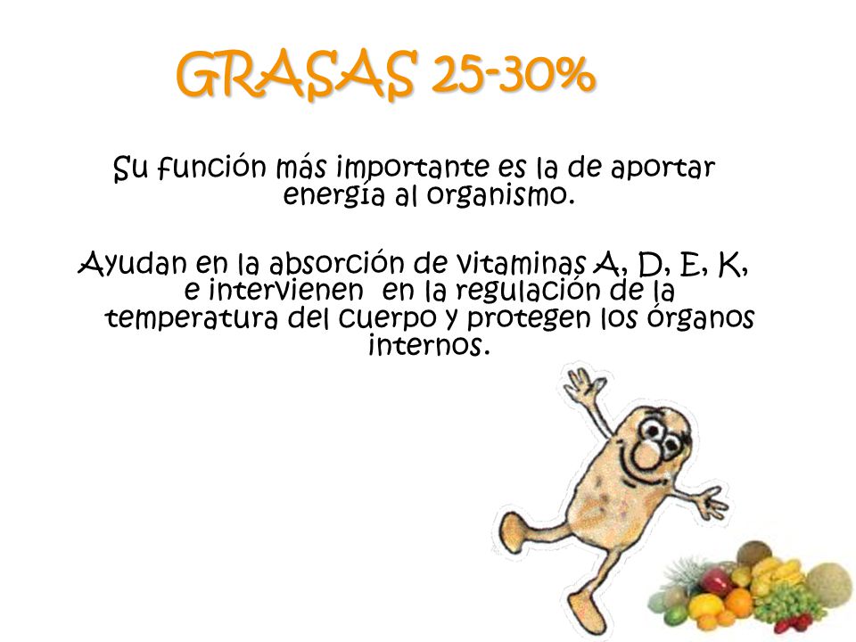 Su función más importante es la de aportar energía al organismo.