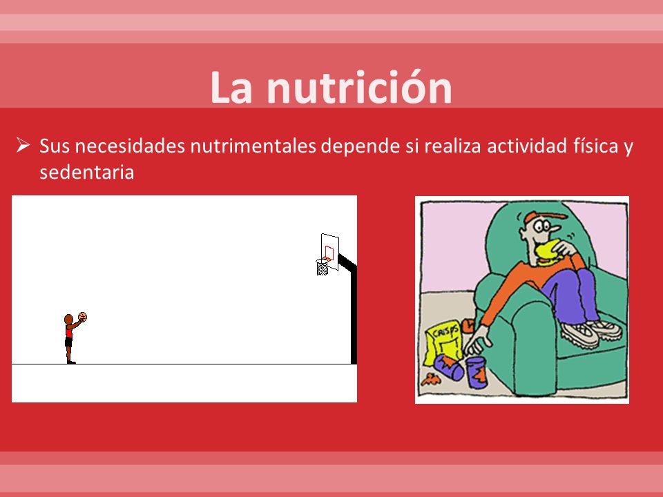 La nutrición Sus necesidades nutrimentales depende si realiza actividad física y sedentaria