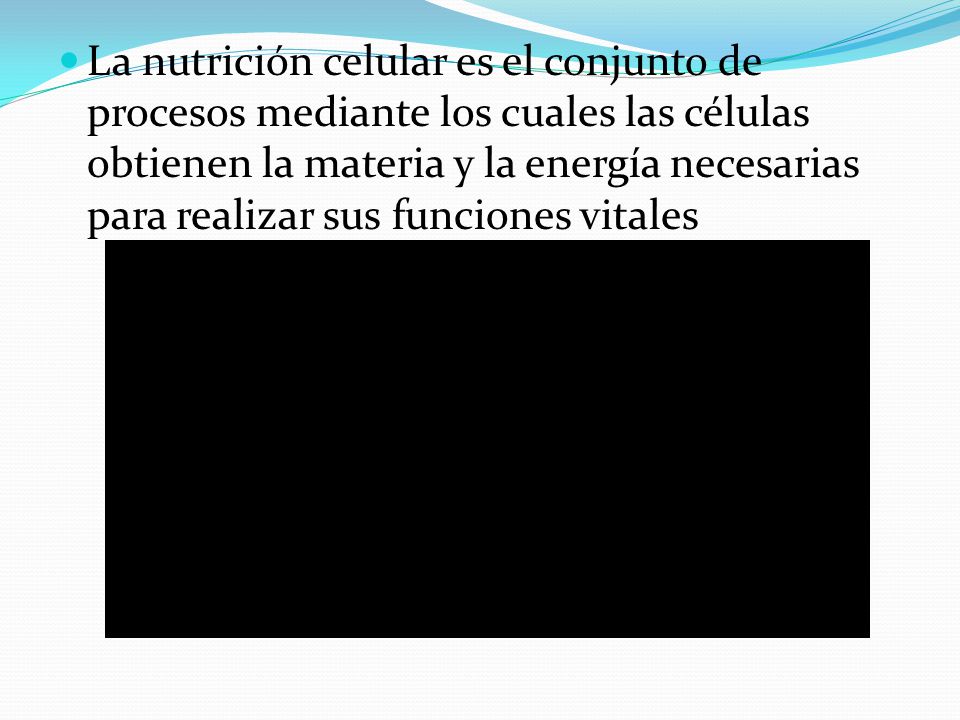 La nutrición celular es el conjunto de procesos mediante los cuales las células obtienen la materia y la energía necesarias para realizar sus funciones vitales