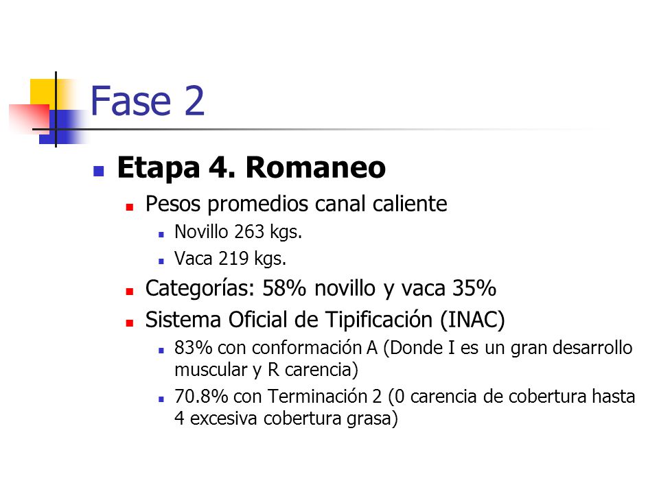 Fase 2 Etapa 4. Romaneo Pesos promedios canal caliente