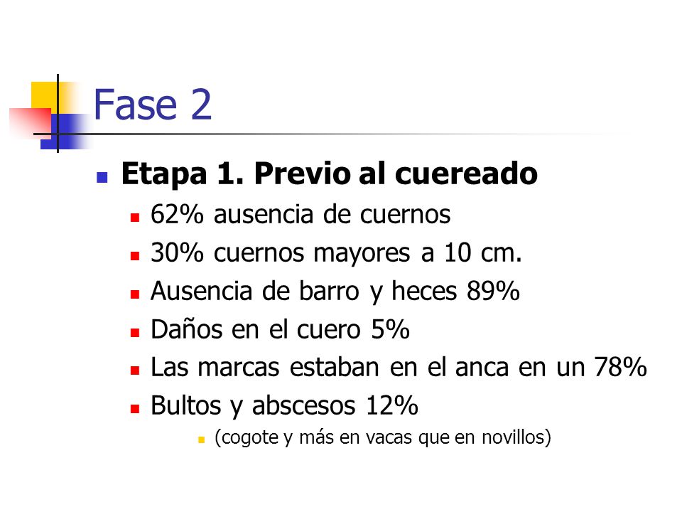 Fase 2 Etapa 1. Previo al cuereado 62% ausencia de cuernos