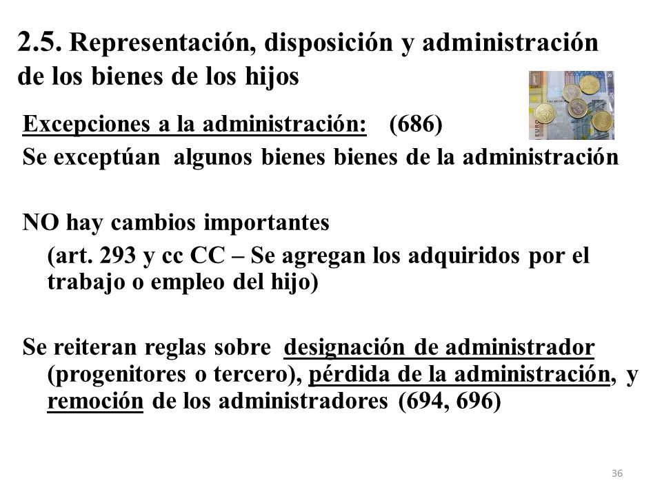 2.5. Representación, disposición y administración de los bienes de los hijos