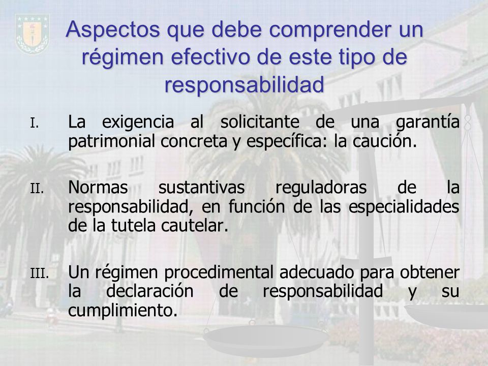 Aspectos que debe comprender un régimen efectivo de este tipo de responsabilidad