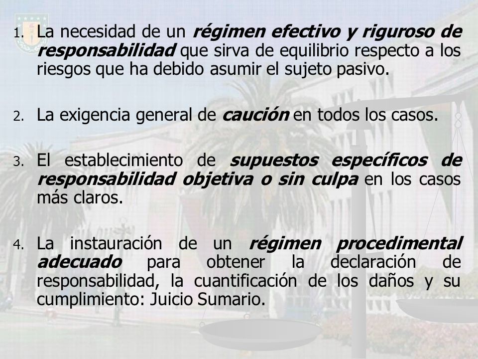 La necesidad de un régimen efectivo y riguroso de responsabilidad que sirva de equilibrio respecto a los riesgos que ha debido asumir el sujeto pasivo.