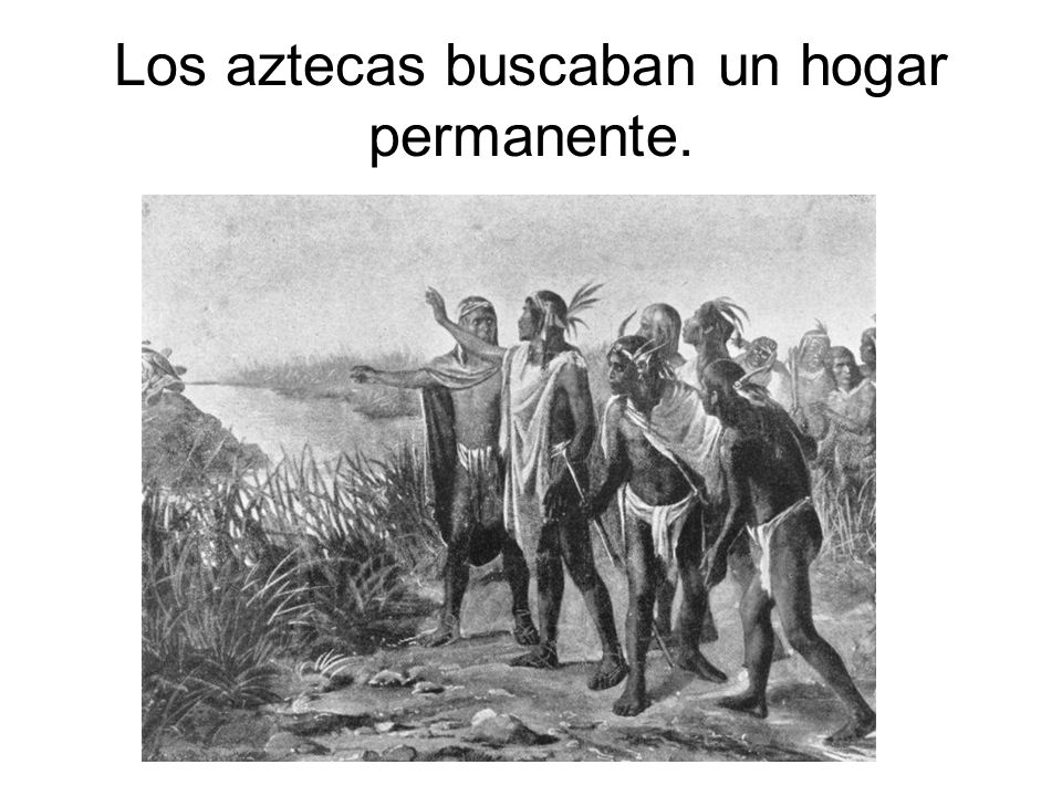 Los aztecas buscaban un hogar permanente.