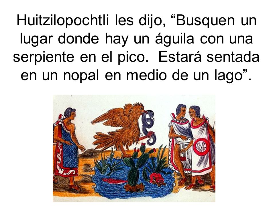 Huitzilopochtli les dijo, Busquen un lugar donde hay un águila con una serpiente en el pico.