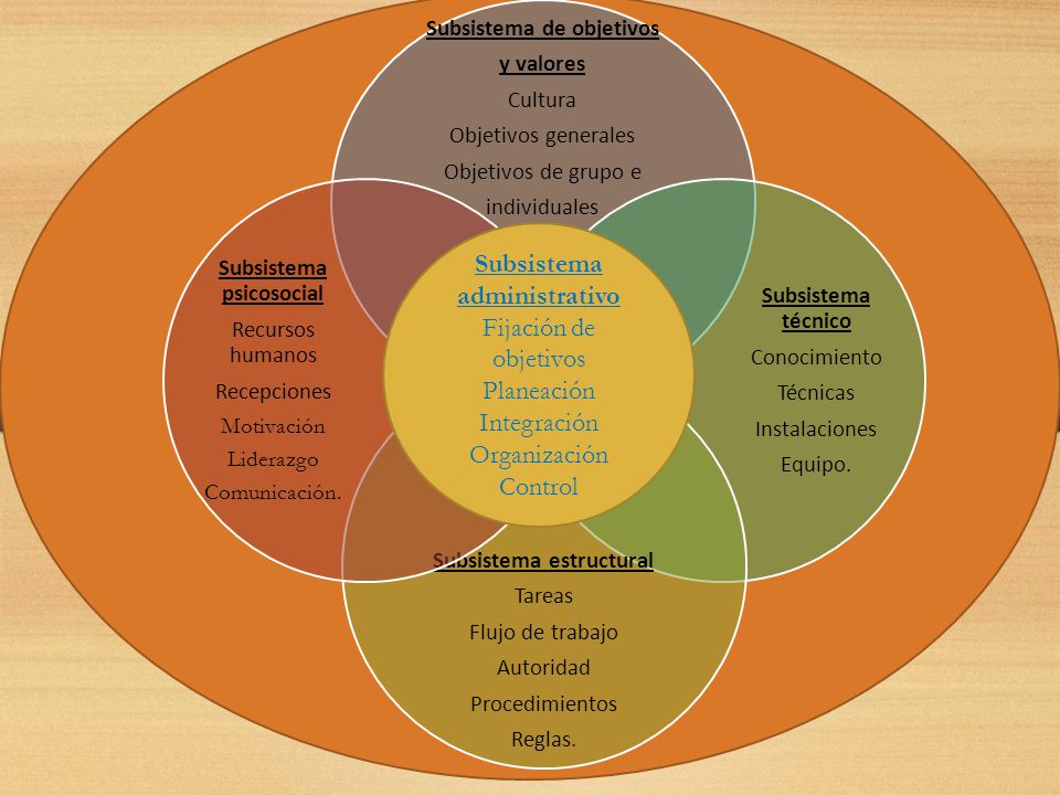 Subsistema de objetivos Subsistema estructural Subsistema psicosocial