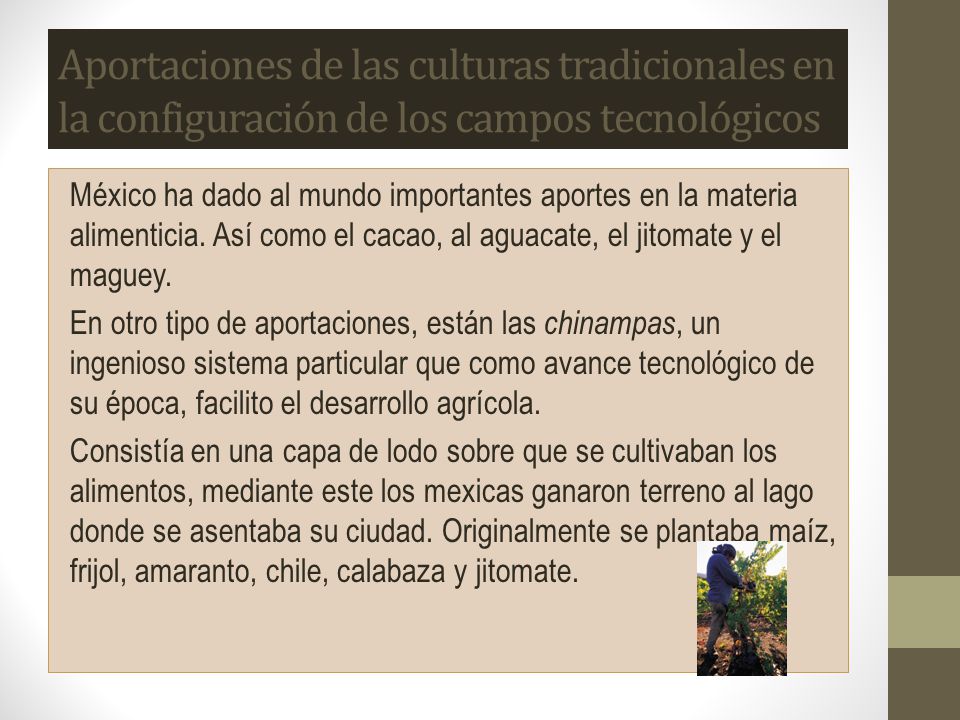 Aportaciones de las culturas tradicionales en la configuración de los campos tecnológicos