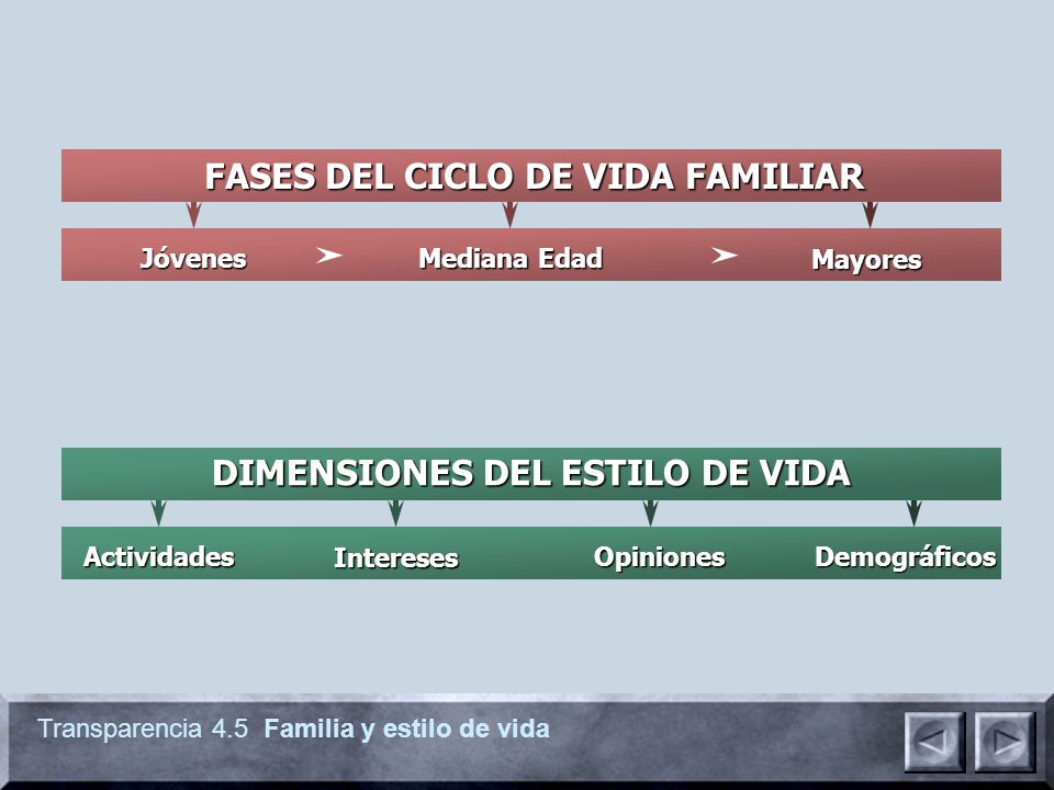 FASES DEL CICLO DE VIDA FAMILIAR DIMENSIONES DEL ESTILO DE VIDA