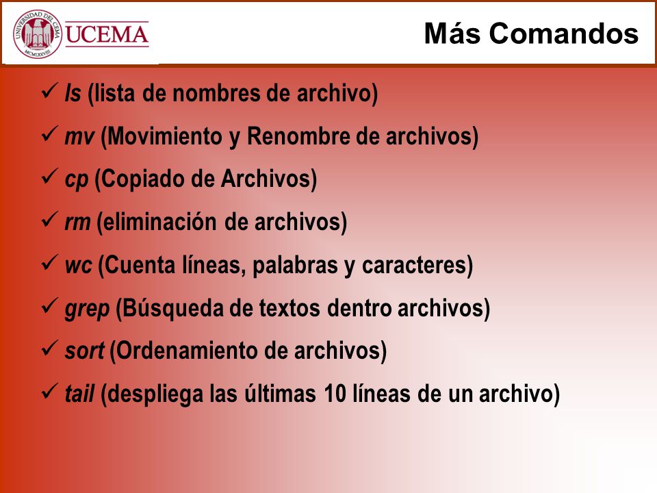 Más Comandos ls (lista de nombres de archivo)