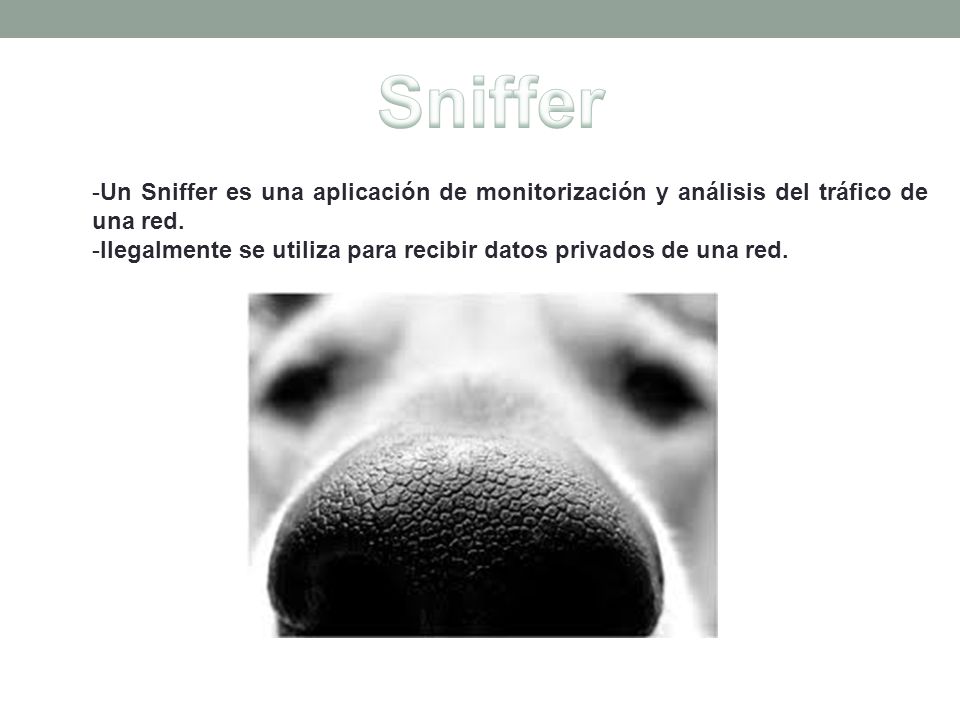 Sniffer Un Sniffer es una aplicación de monitorización y análisis del tráfico de una red.