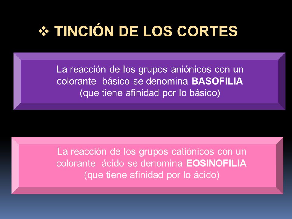 TINCIÓN DE LOS CORTES La reacción de los grupos aniónicos con un