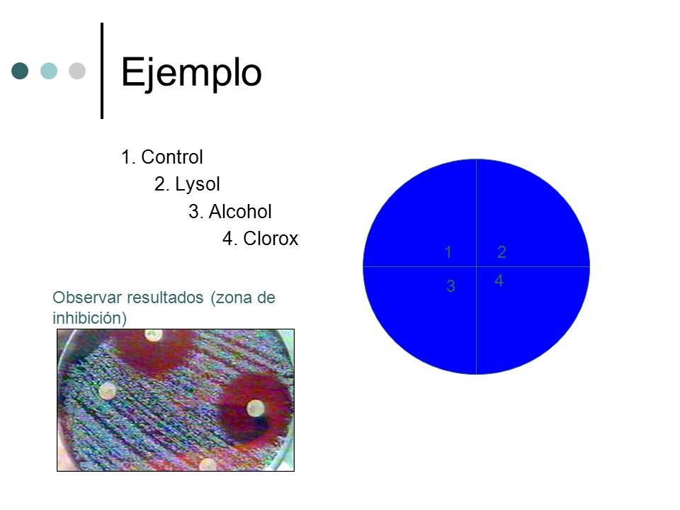 Ejemplo 1. Control 2. Lysol 3. Alcohol 4. Clorox