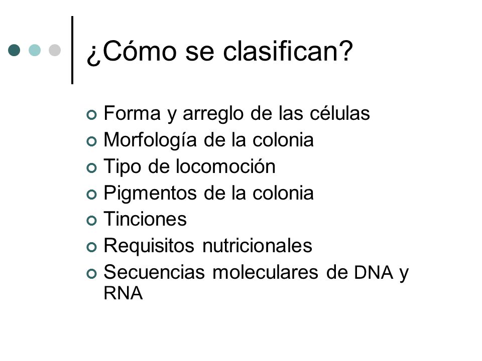 ¿Cómo se clasifican Forma y arreglo de las células