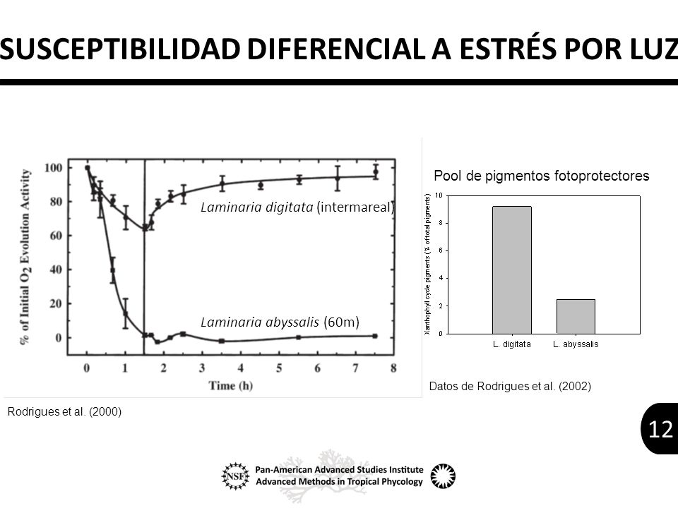 SUSCEPTIBILIDAD DIFERENCIAL A ESTRÉS POR LUZ