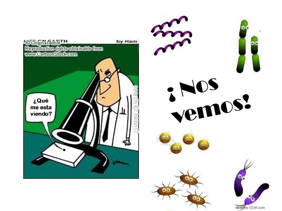 c ¿Qué me esta viendo ¡ Nos vemos! c c c