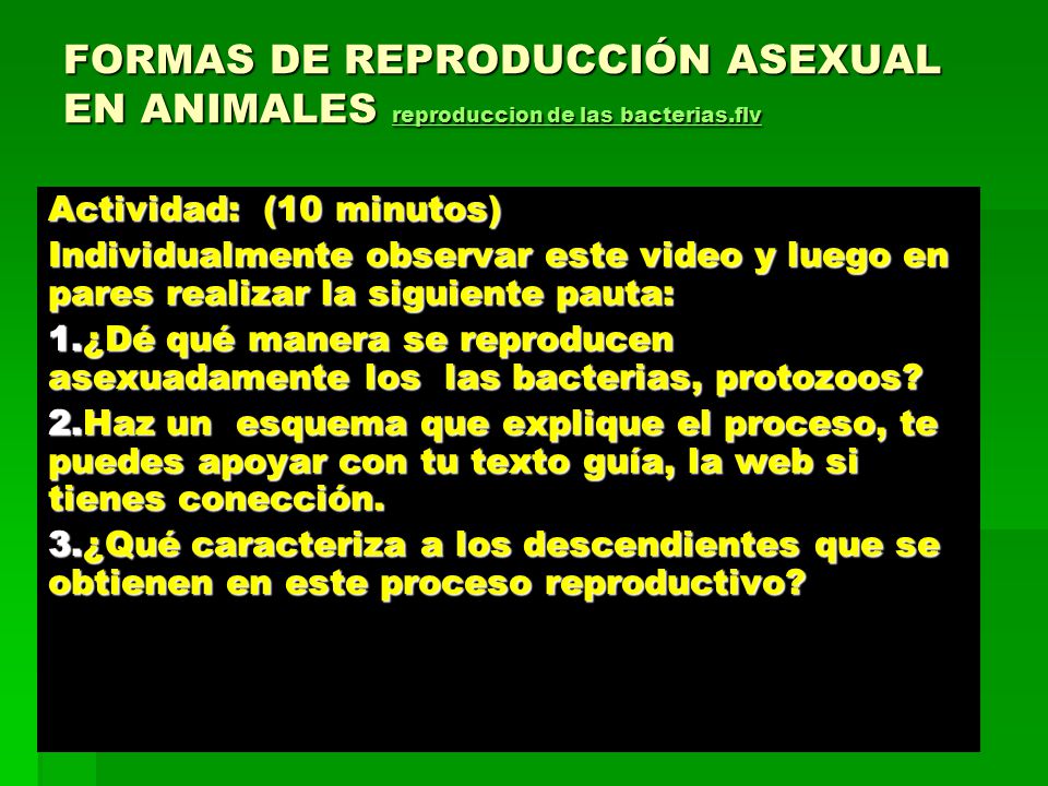 FORMAS DE REPRODUCCIÓN ASEXUAL EN ANIMALES reproduccion de las bacterias.flv