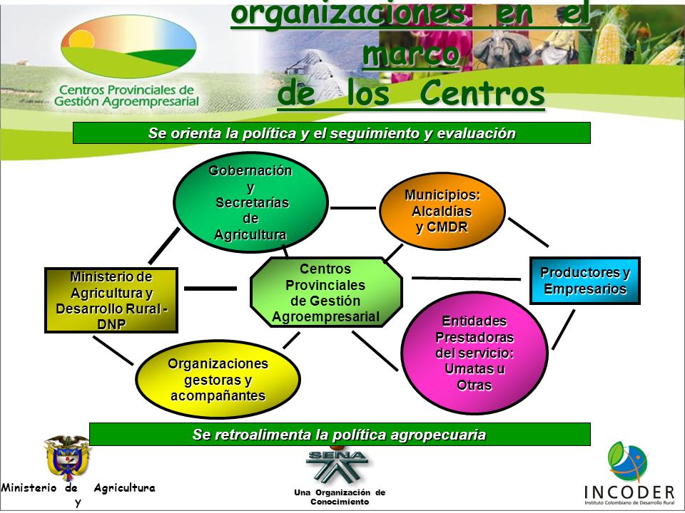 El sistema de organizaciones en el marco de los Centros