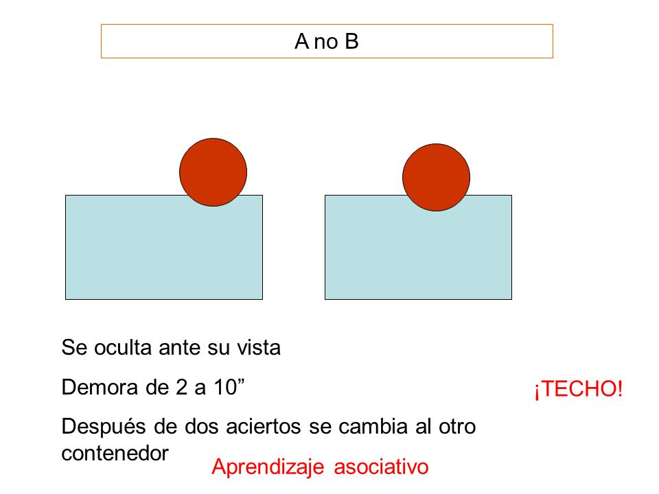 A no B Se oculta ante su vista. Demora de 2 a 10 Después de dos aciertos se cambia al otro contenedor.