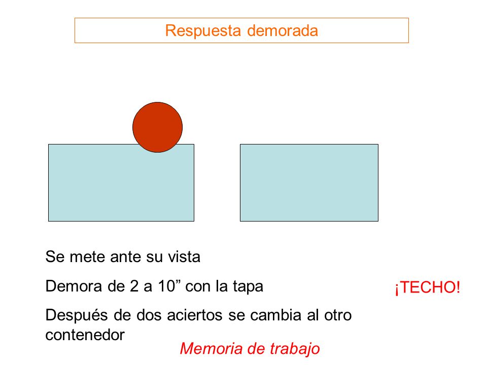 Respuesta demorada Se mete ante su vista. Demora de 2 a 10 con la tapa. Después de dos aciertos se cambia al otro contenedor.